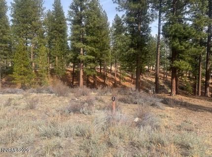 35 Boulders Bend Drive, Lot #77, Carson City, NV 89705 Photo