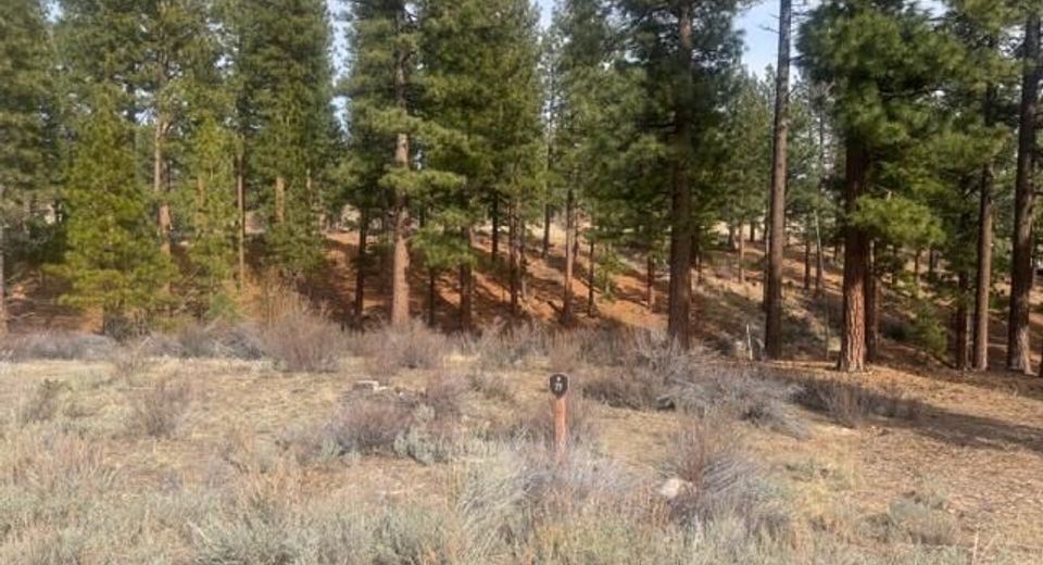 35 Boulders Bend Drive, Lot #77, Carson City, NV 89705 Photo
