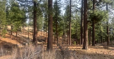 35 Boulders Bend Drive, Lot #77, Carson City, NV 89705 Photo