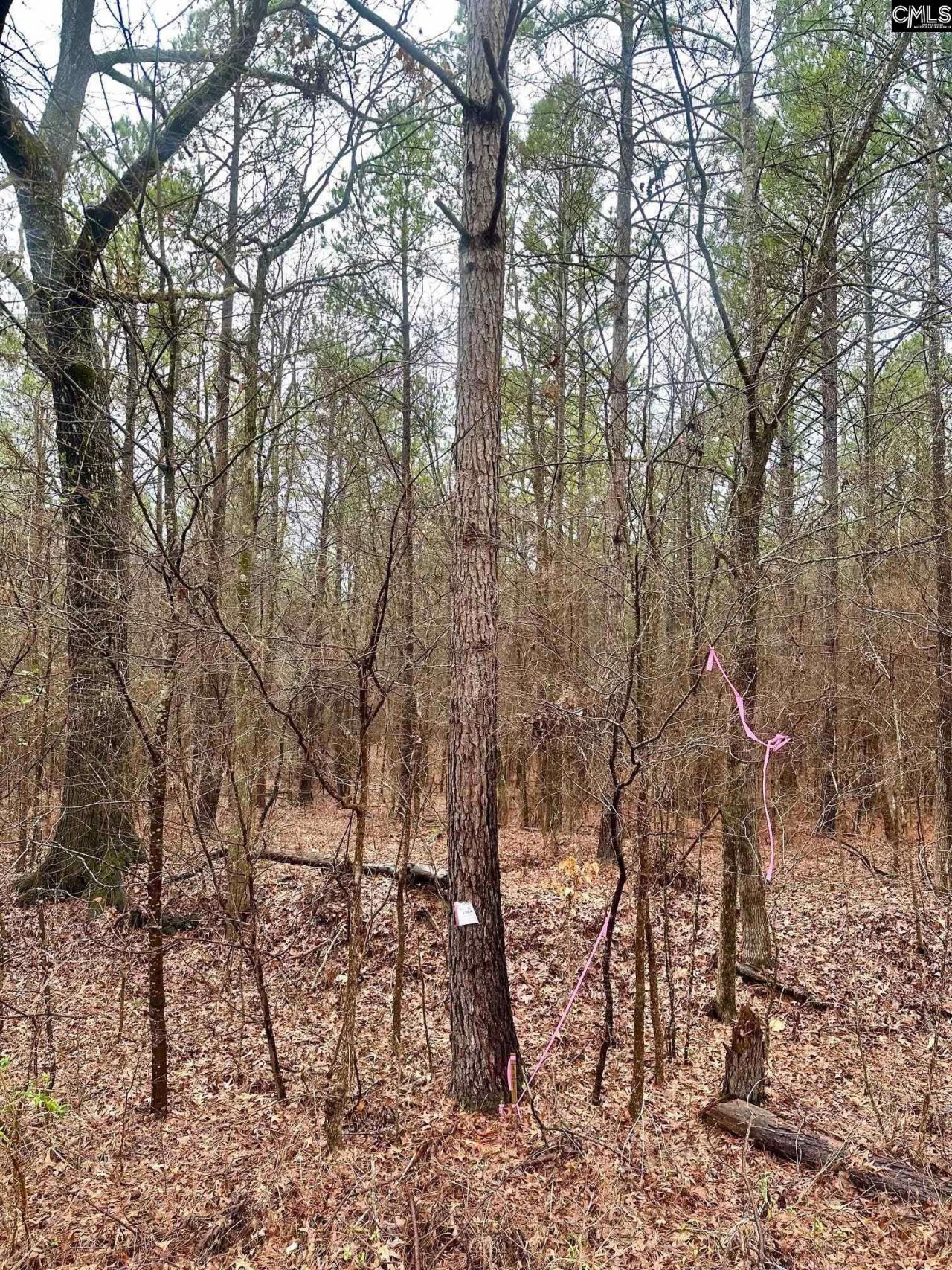 1178 Great Falls Highway Photo 4