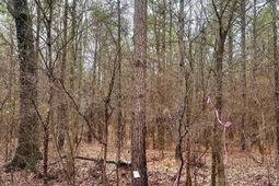 1178 Great Falls Highway photo 4