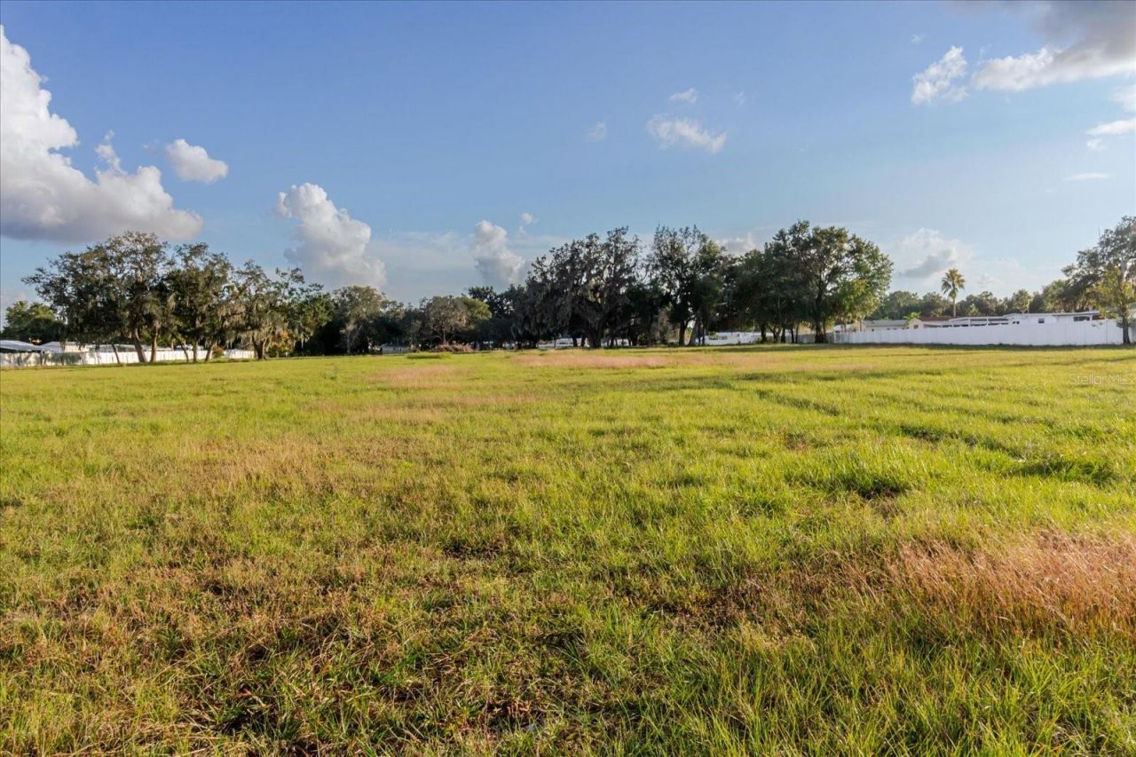 37435 Chancey Road, Zephyrhills, FL 33541 Photo