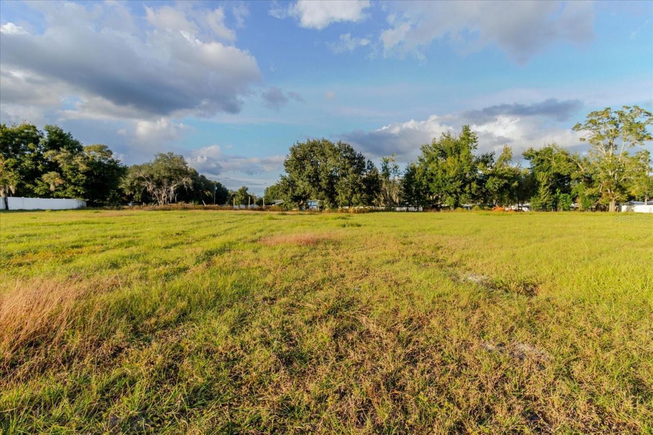 37435 Chancey Road, Zephyrhills, FL 33541 Photo