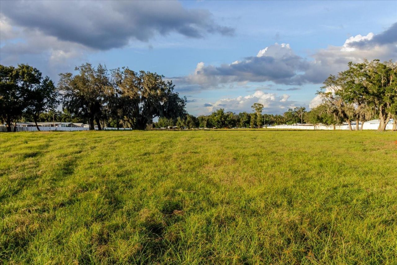 37435 Chancey Road, Zephyrhills, FL 33541 Photo