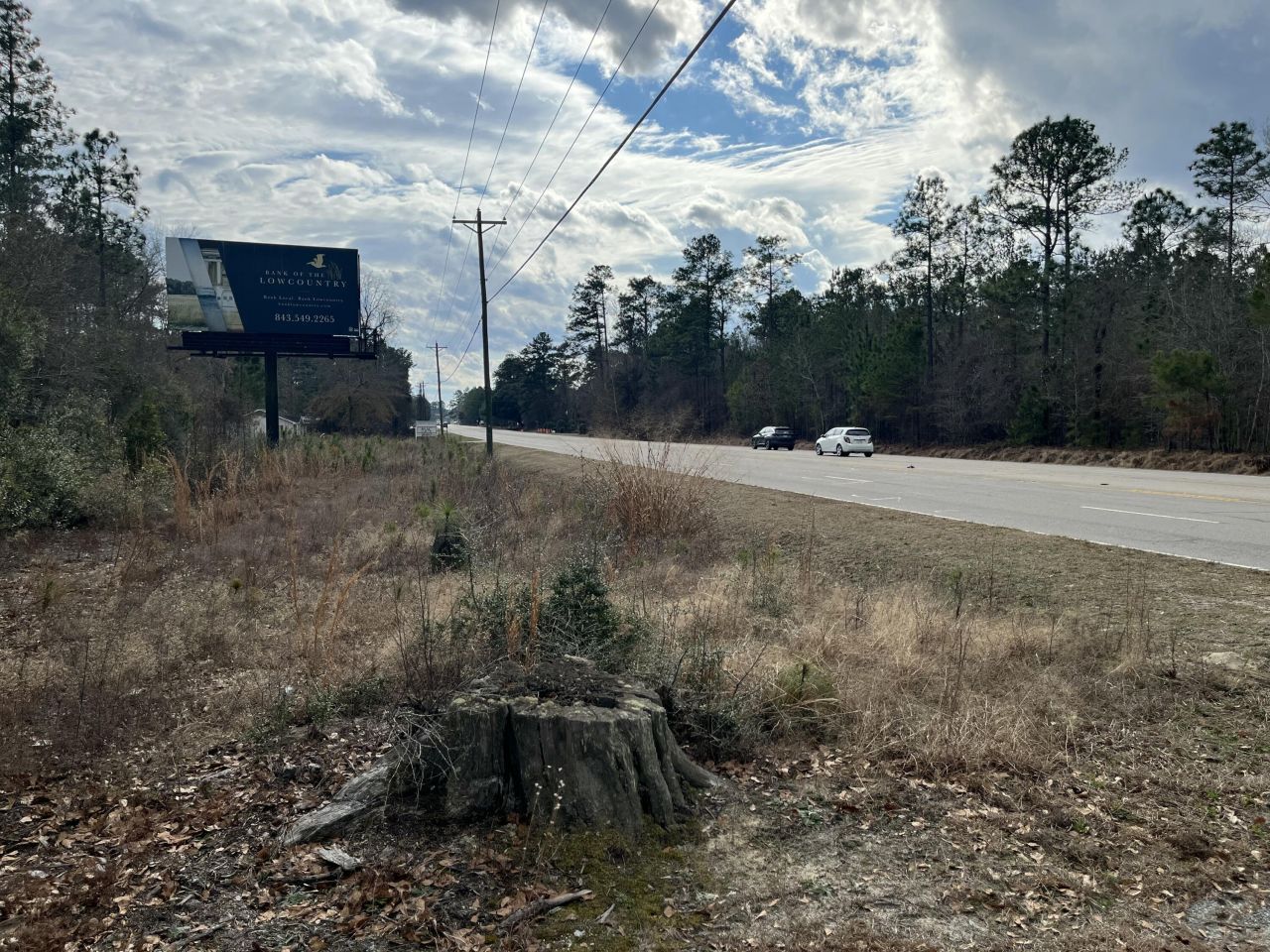 101 Driggers Lane Photo 11