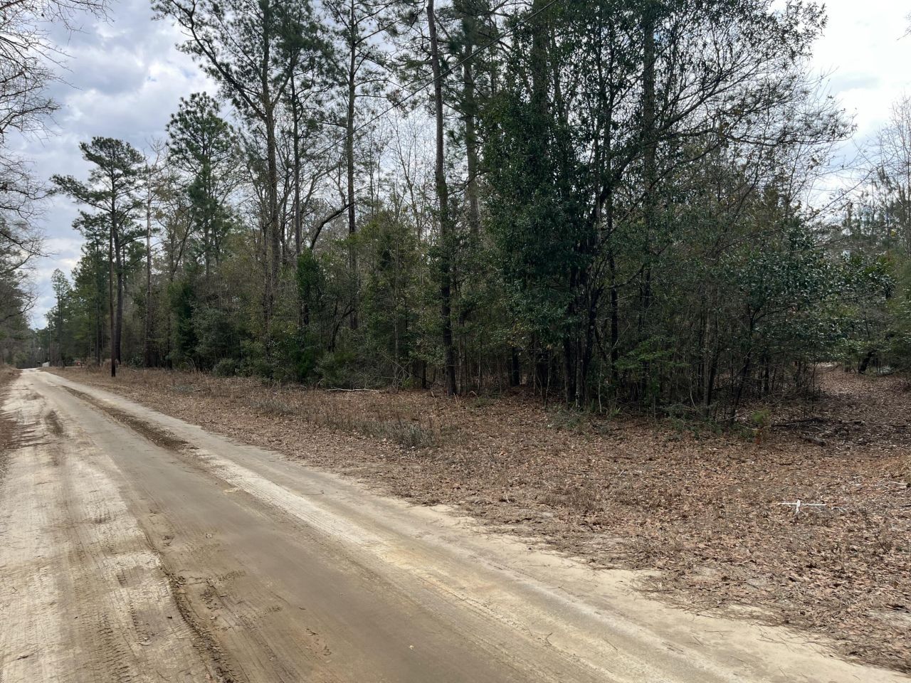 101 Driggers Lane Photo 12