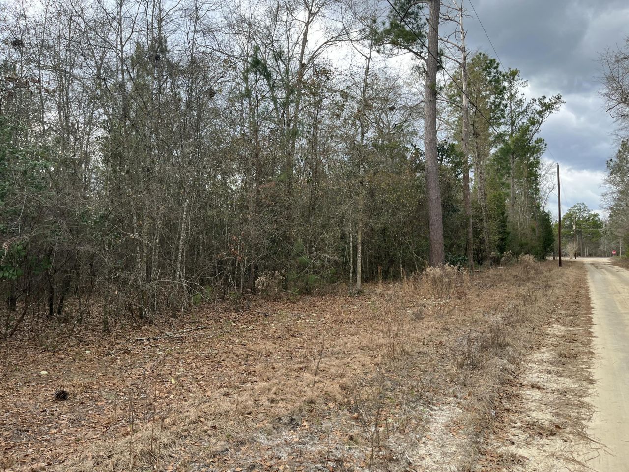 101 Driggers Lane Photo 13