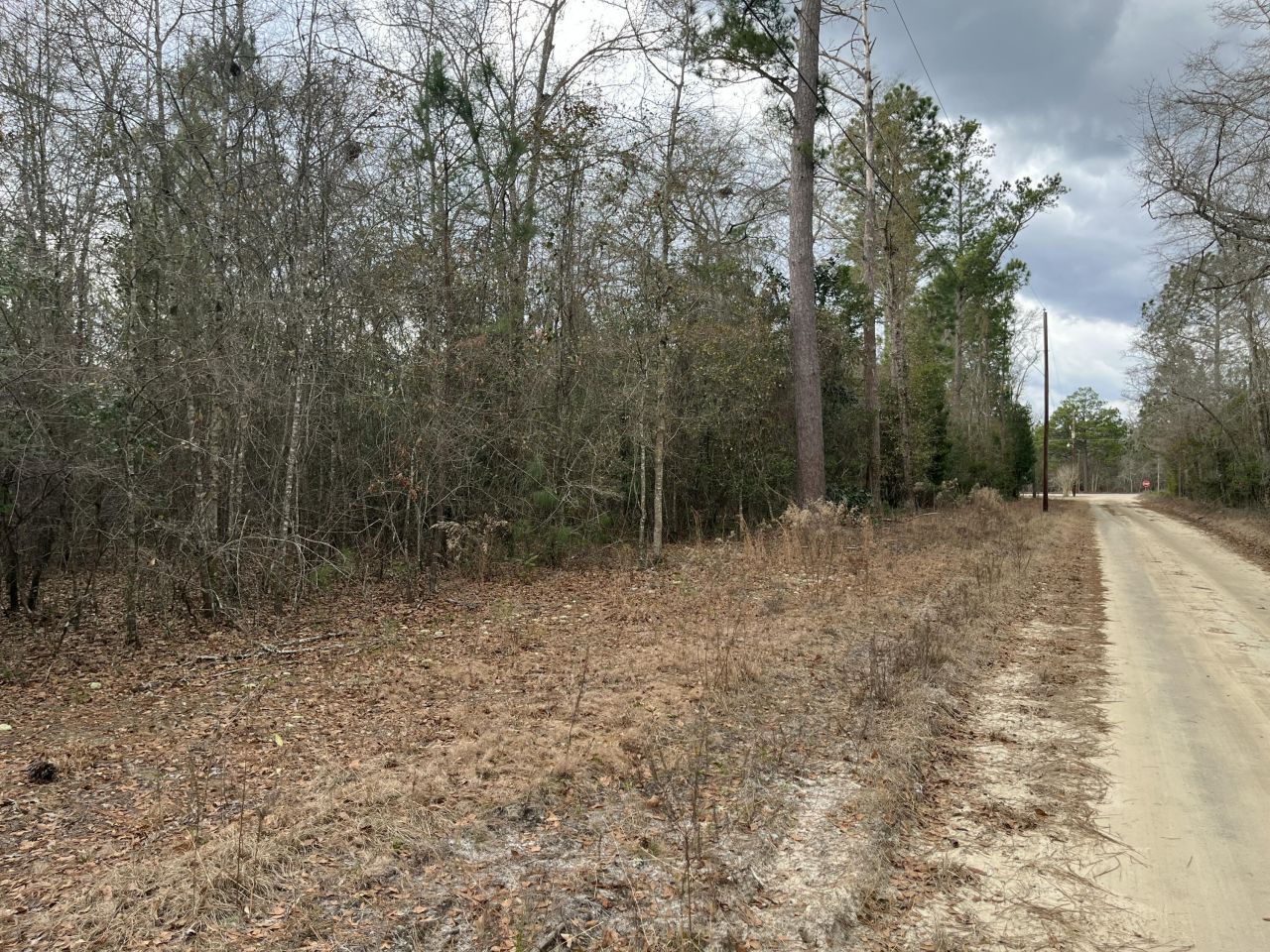 101 Driggers Lane Photo 15