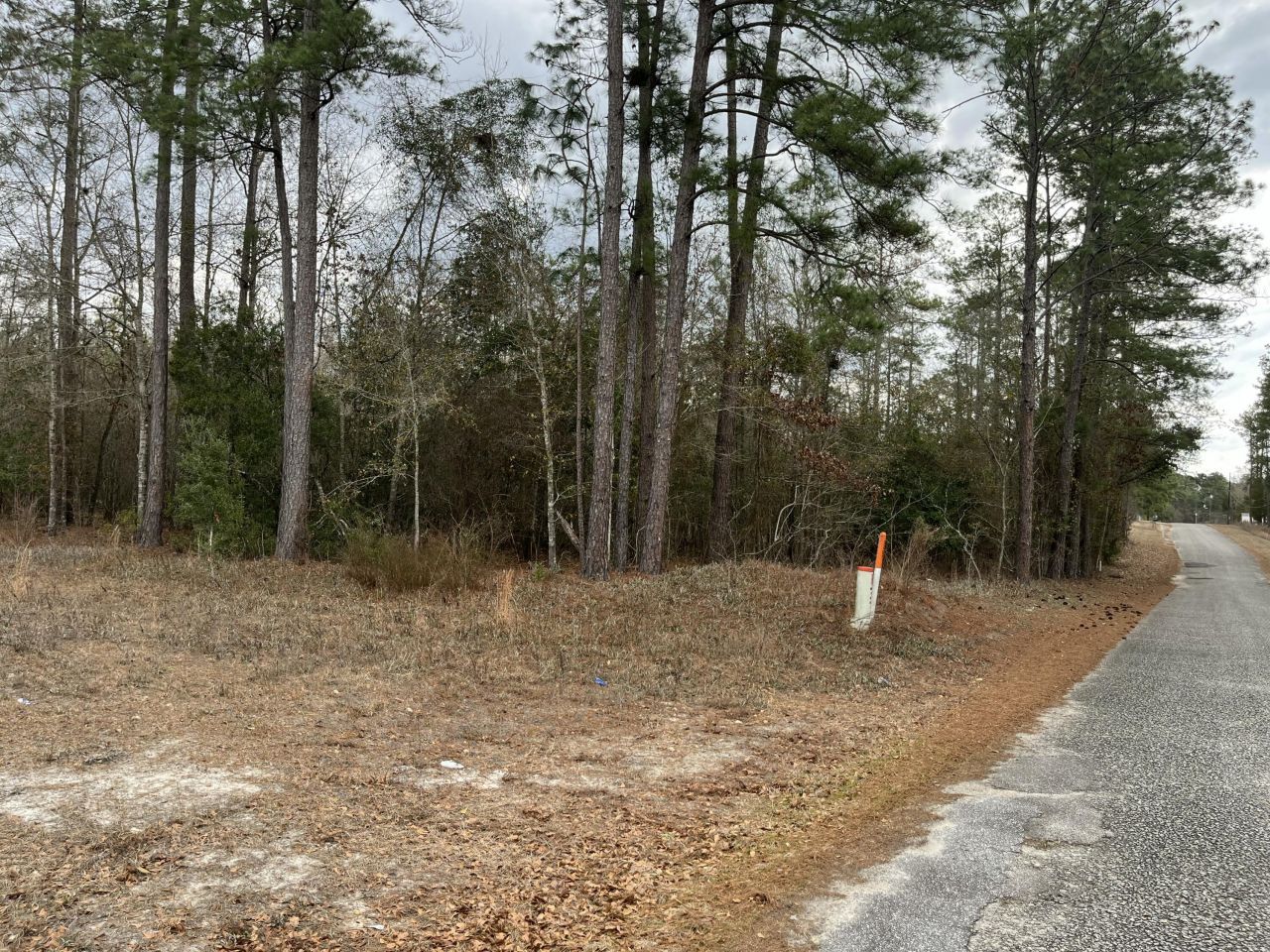 101 Driggers Lane Photo 16