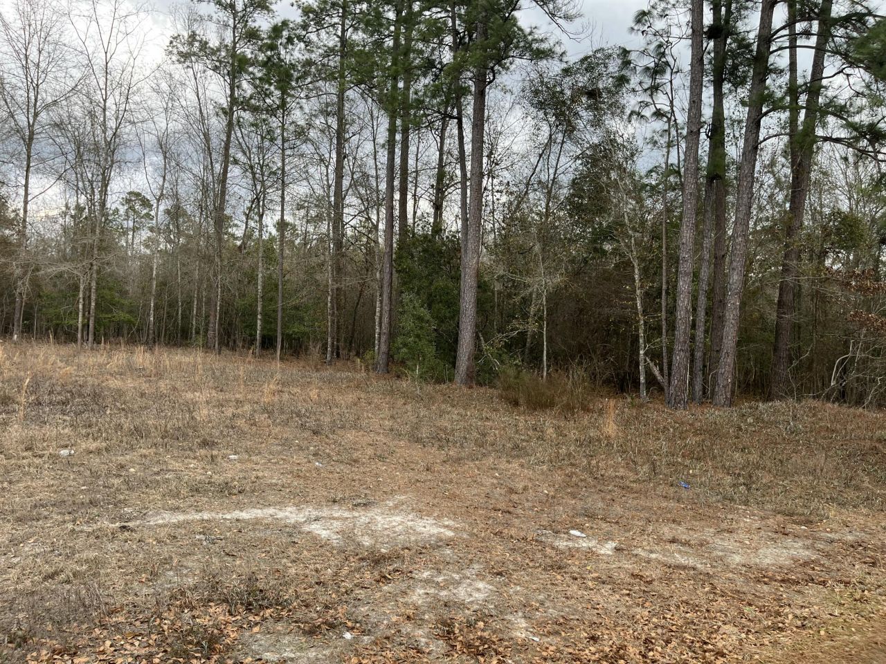 101 Driggers Lane Photo 17