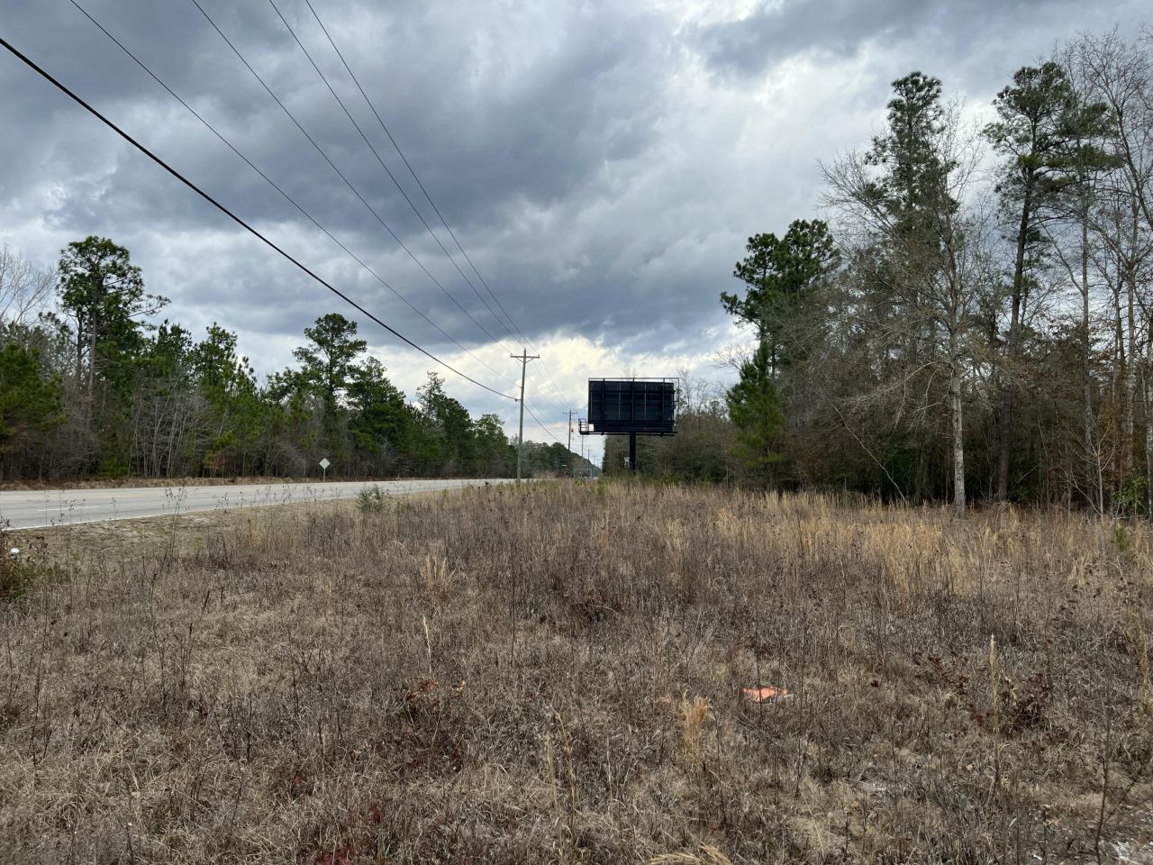 101 Driggers Lane Photo 18