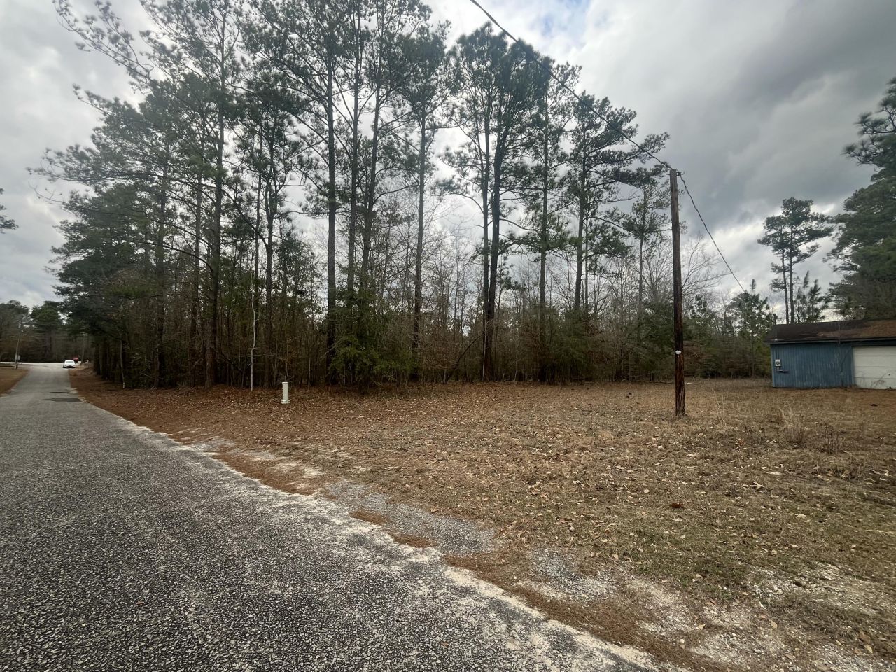 101 Driggers Lane Photo 21