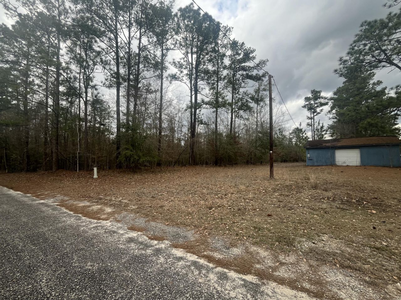 101 Driggers Lane Photo 22