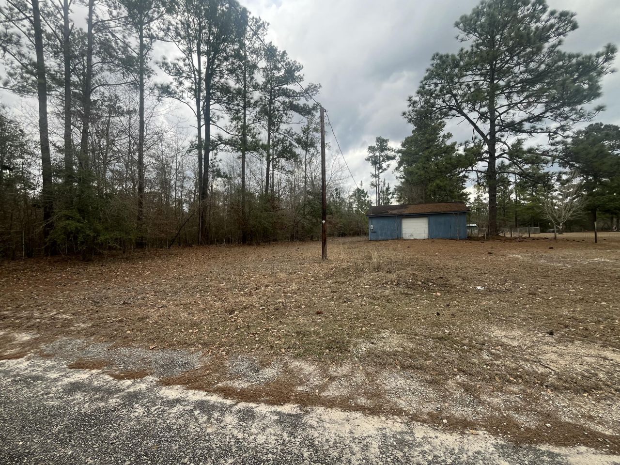 101 Driggers Lane Photo 23