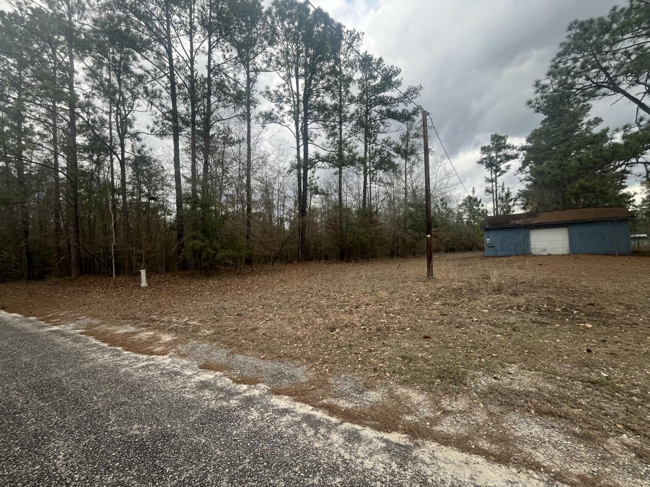 101 Driggers Lane Photo 24