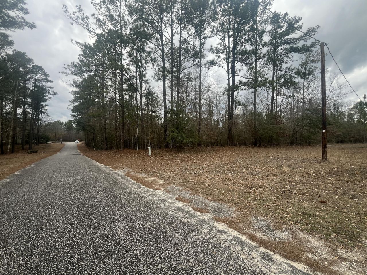 101 Driggers Lane Photo 25