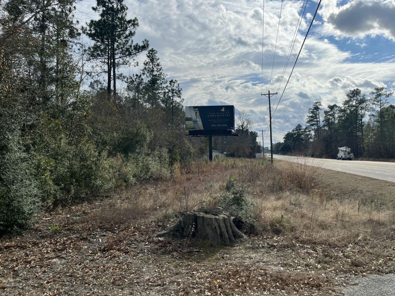 101 Driggers Lane Photo 4