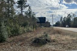 101 Driggers Lane photo 4