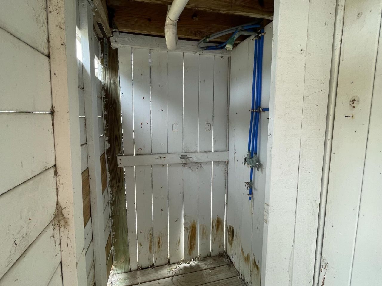 133 Palmetto Boulevard Photo 24