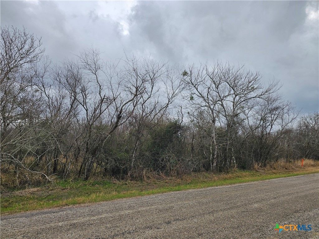 Tbd Jessica Drive, Victoria, TX 77904 Main Photo