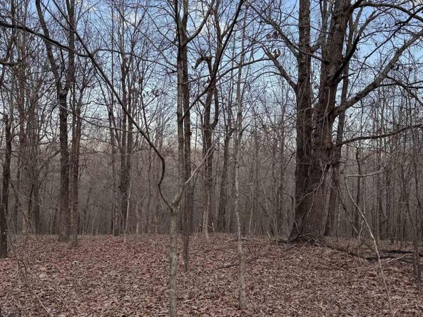 County Road 470, Rector, AR 72461