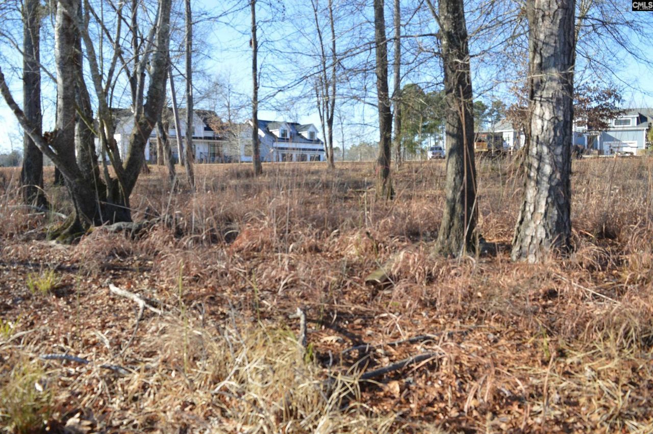 10 Big Water View  Photo 10