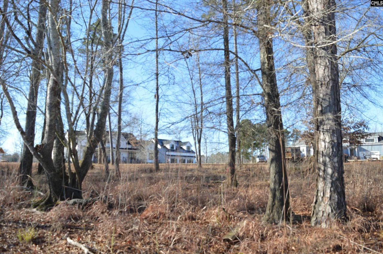 10 Big Water View  Photo 11