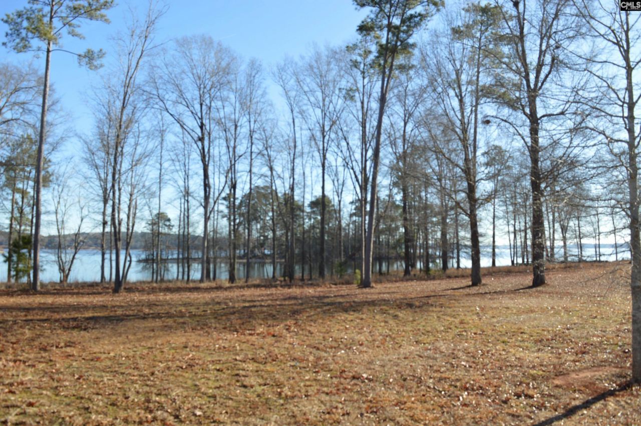 10 Big Water View  Photo 4