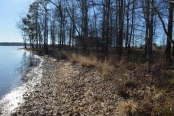 10 Big Water View  photo 4