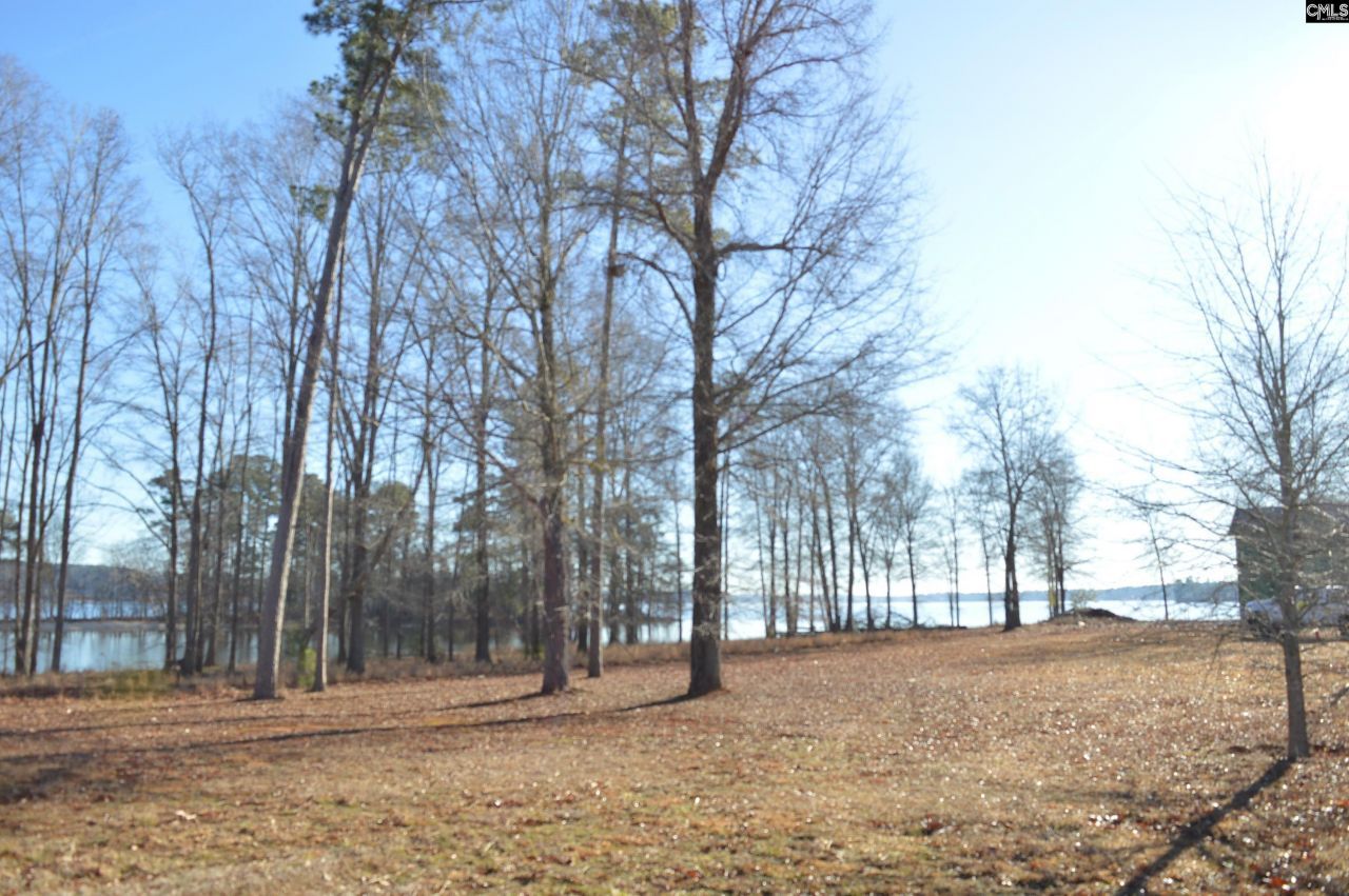 10 Big Water View  Photo 6