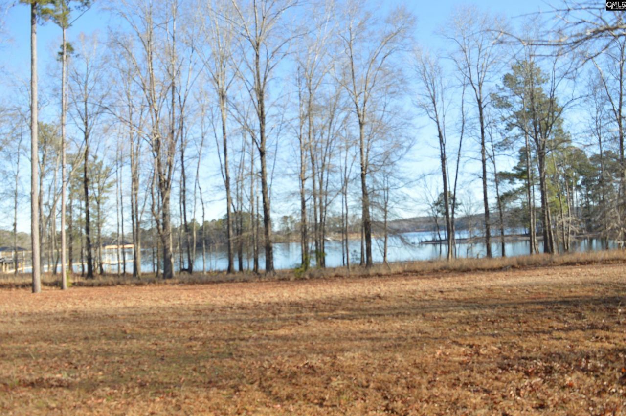 10 Big Water View  Photo 7