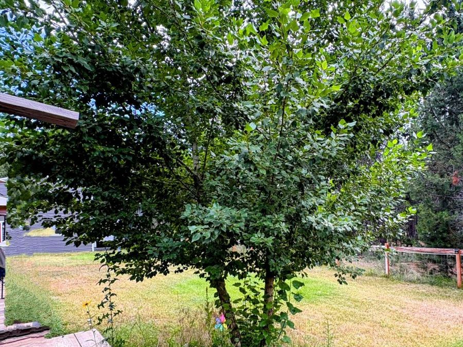 Property Image 48