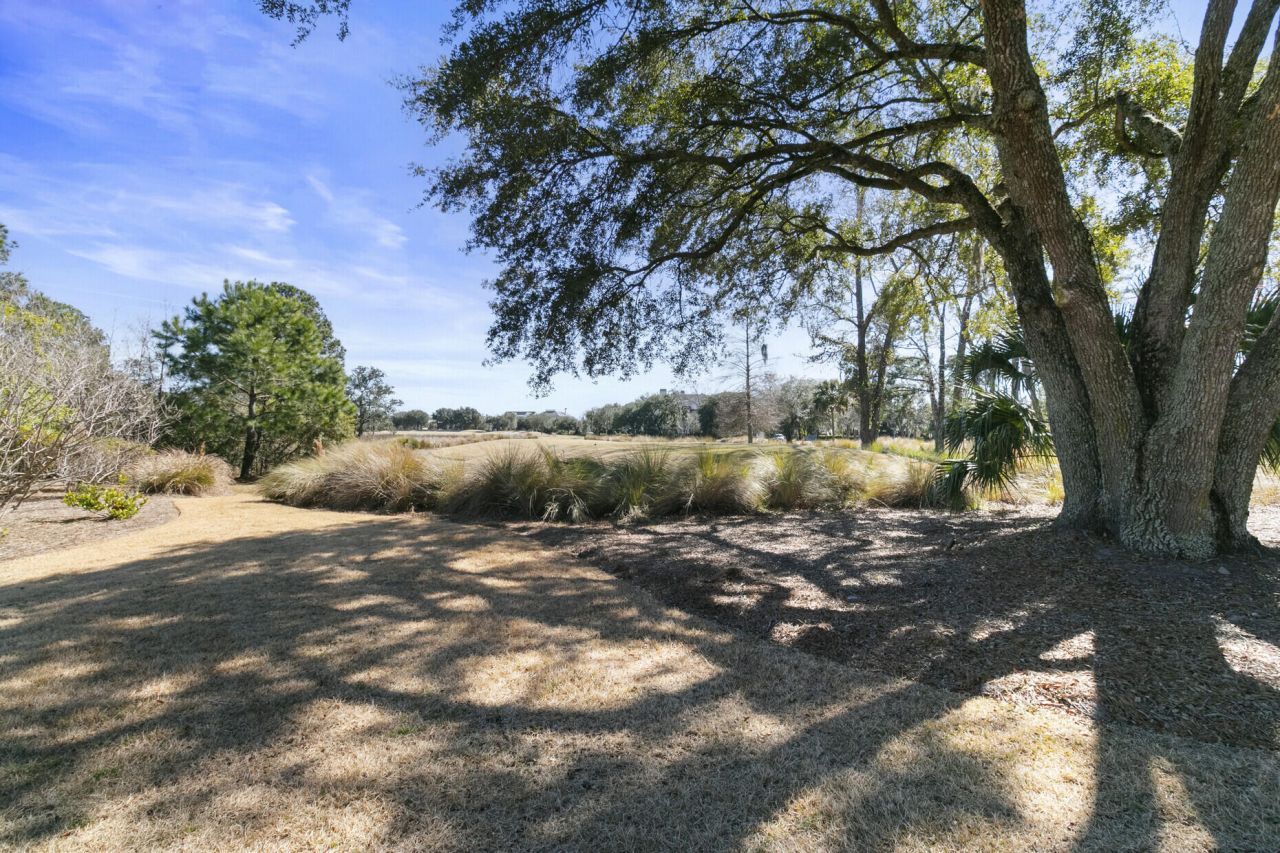 250 Island Park Drive Photo 41