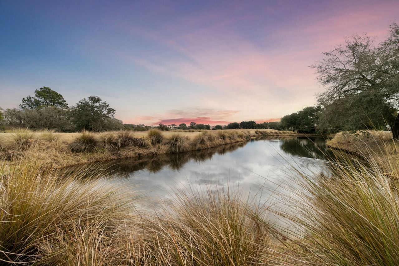 250 Island Park Drive Photo 43