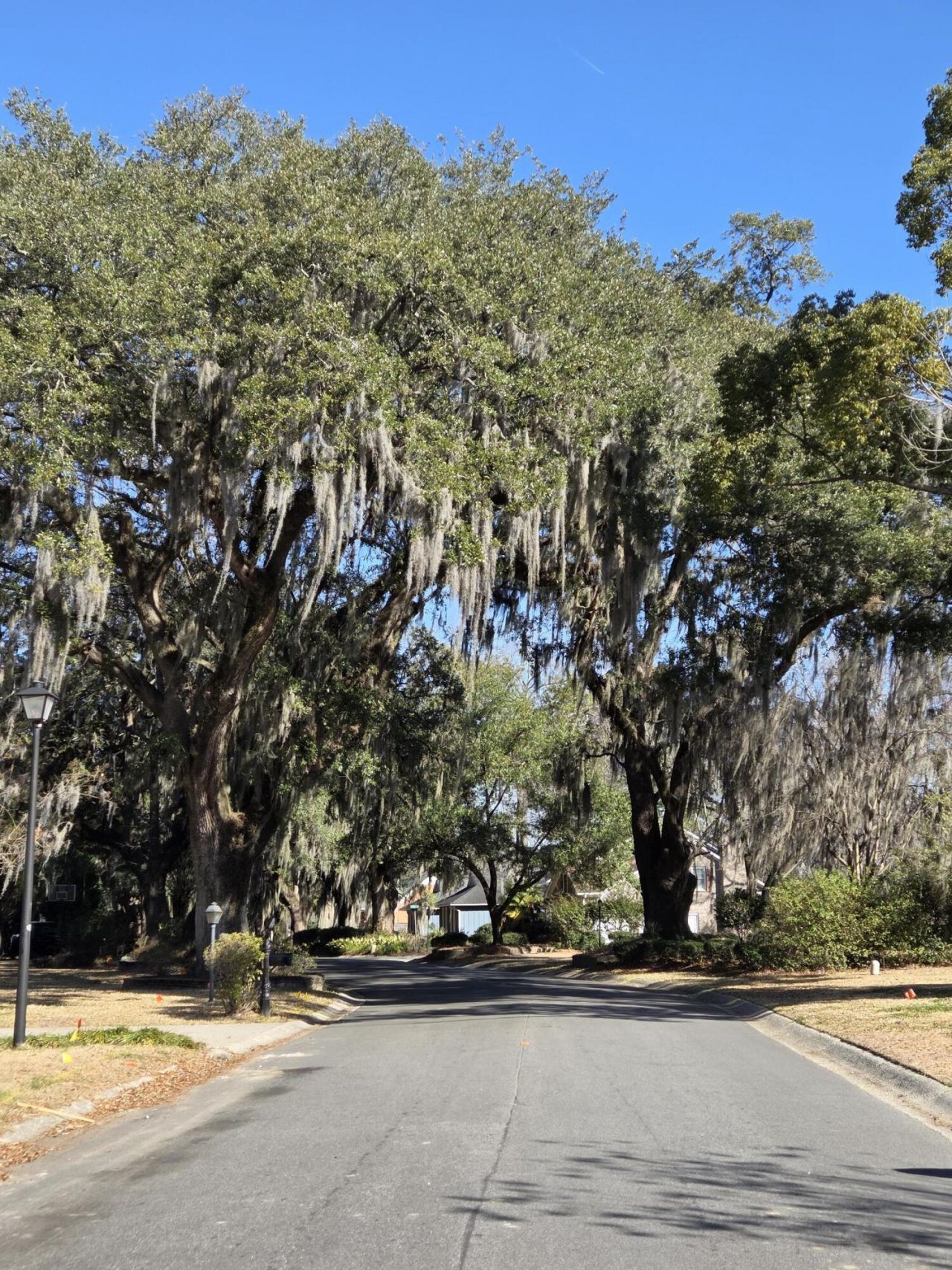 29 Monte Sano Drive Photo 58