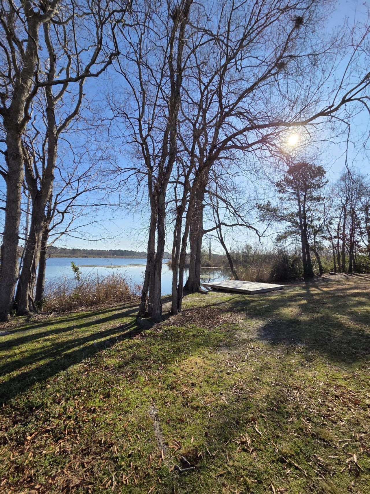 29 Monte Sano Drive Photo 64