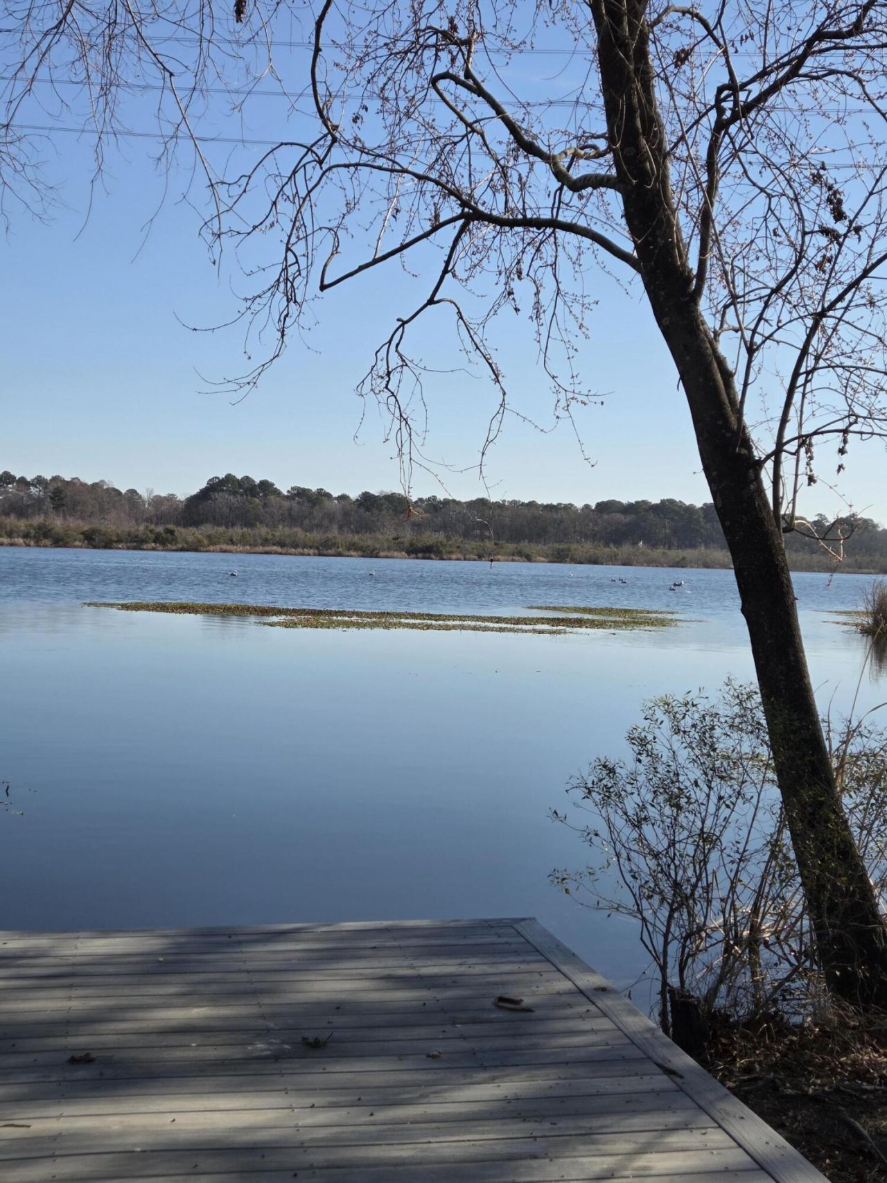 29 Monte Sano Drive Photo 67