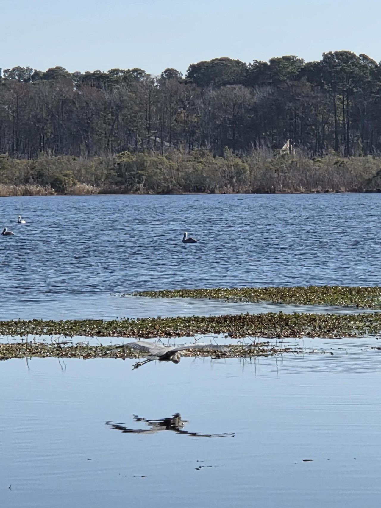 29 Monte Sano Drive Photo 68