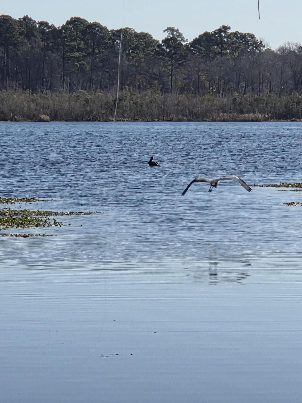 29 Monte Sano Drive Photo 69