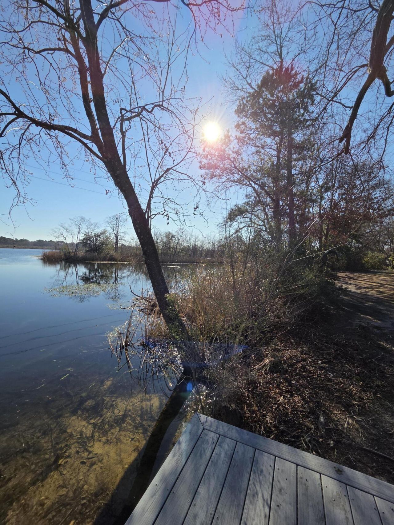 29 Monte Sano Drive Photo 70