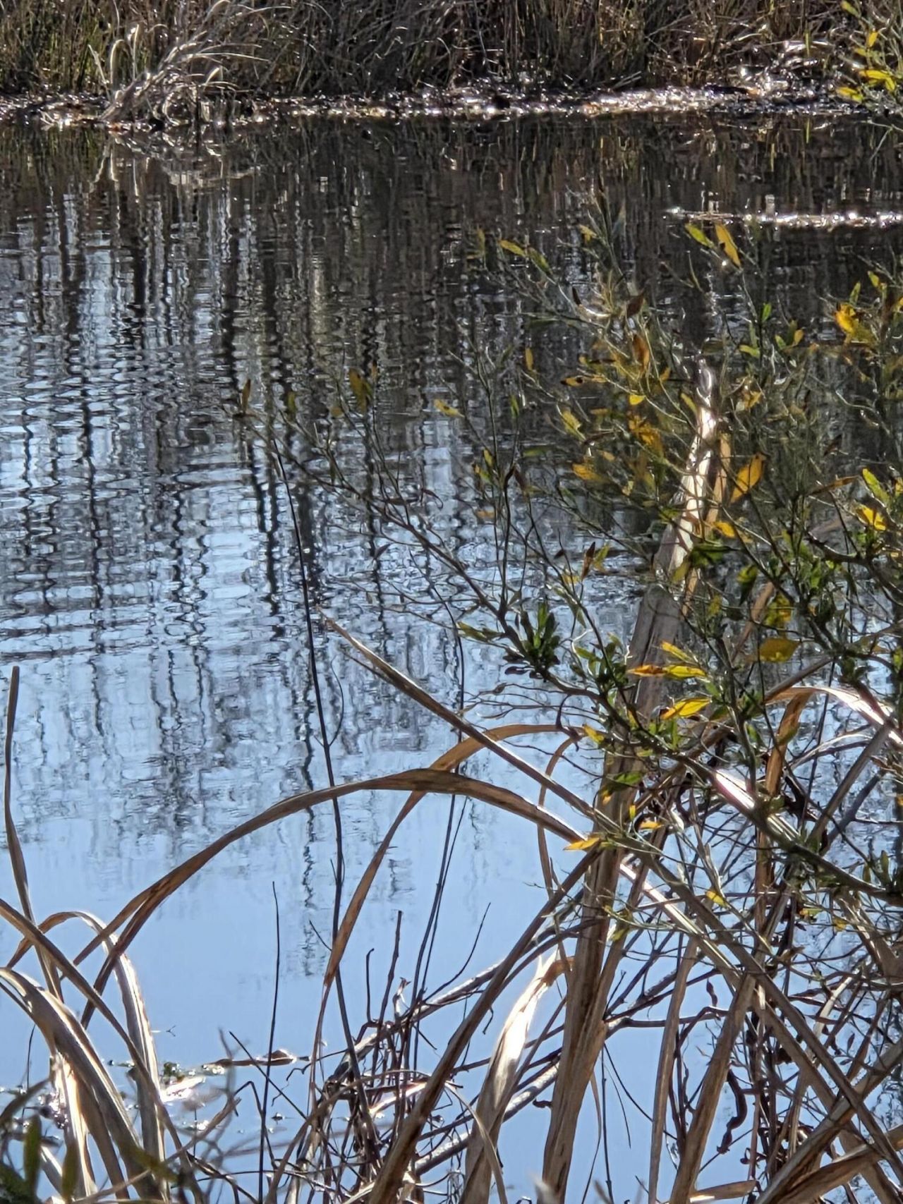 29 Monte Sano Drive Photo 71