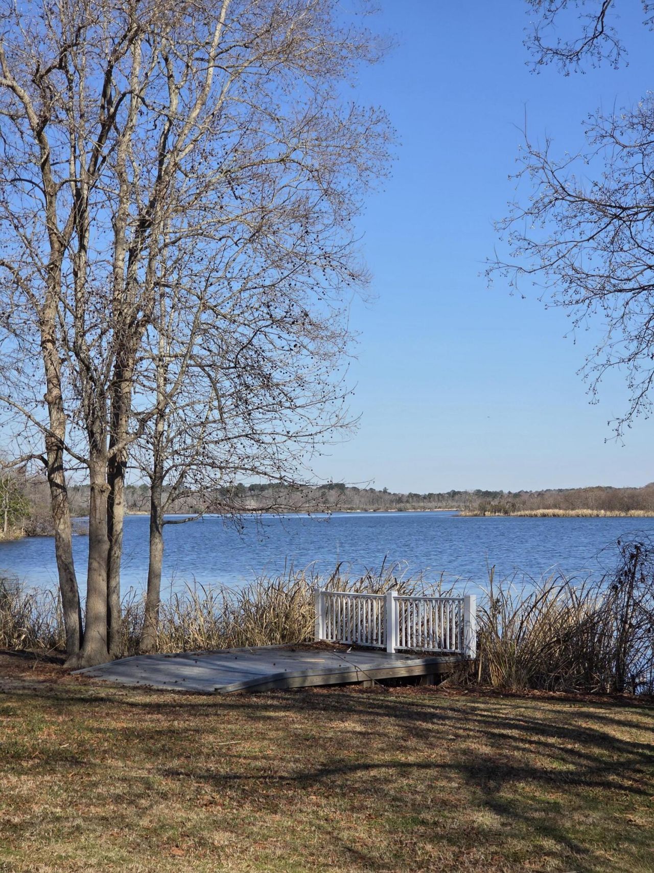 29 Monte Sano Drive Photo 72