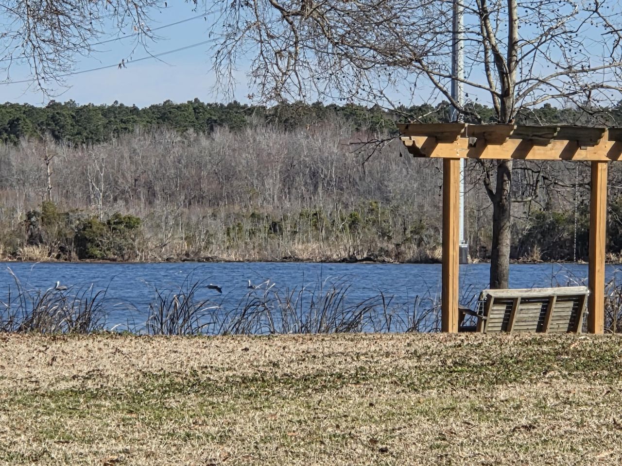 29 Monte Sano Drive Photo 77