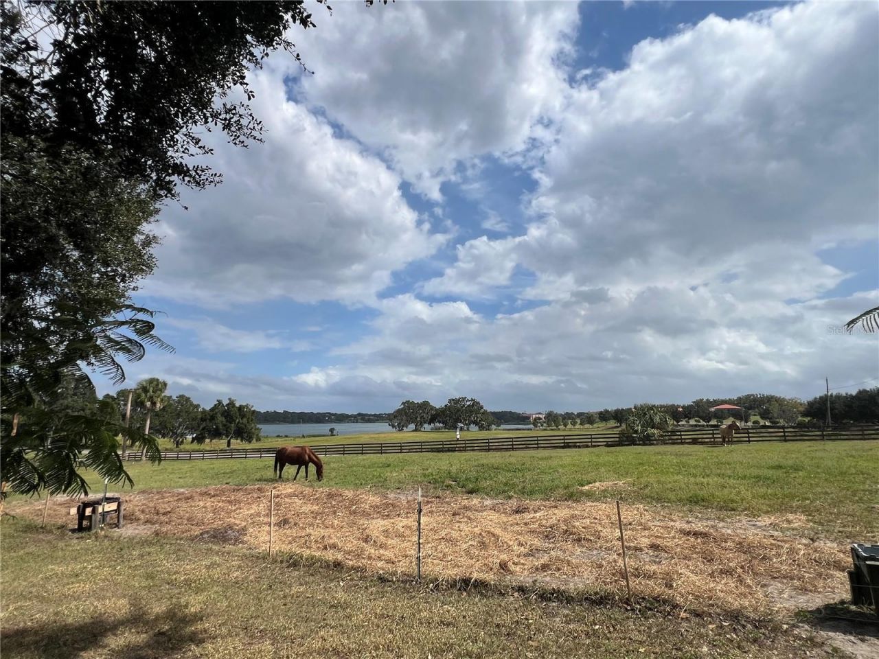 32935 Jesse Jones Avenue, San Antonio, FL 33576 Photo