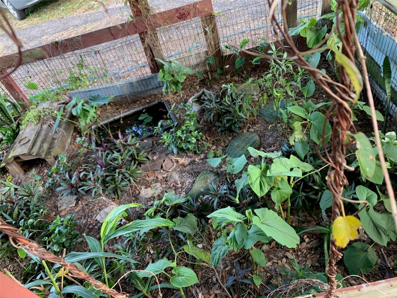 32935 Jesse Jones Avenue, San Antonio, FL 33576 Photo