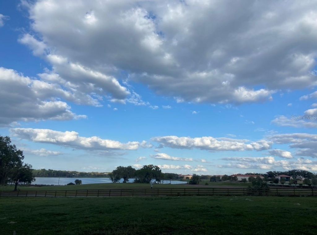 32935 Jesse Jones Avenue, San Antonio, FL 33576 Photo