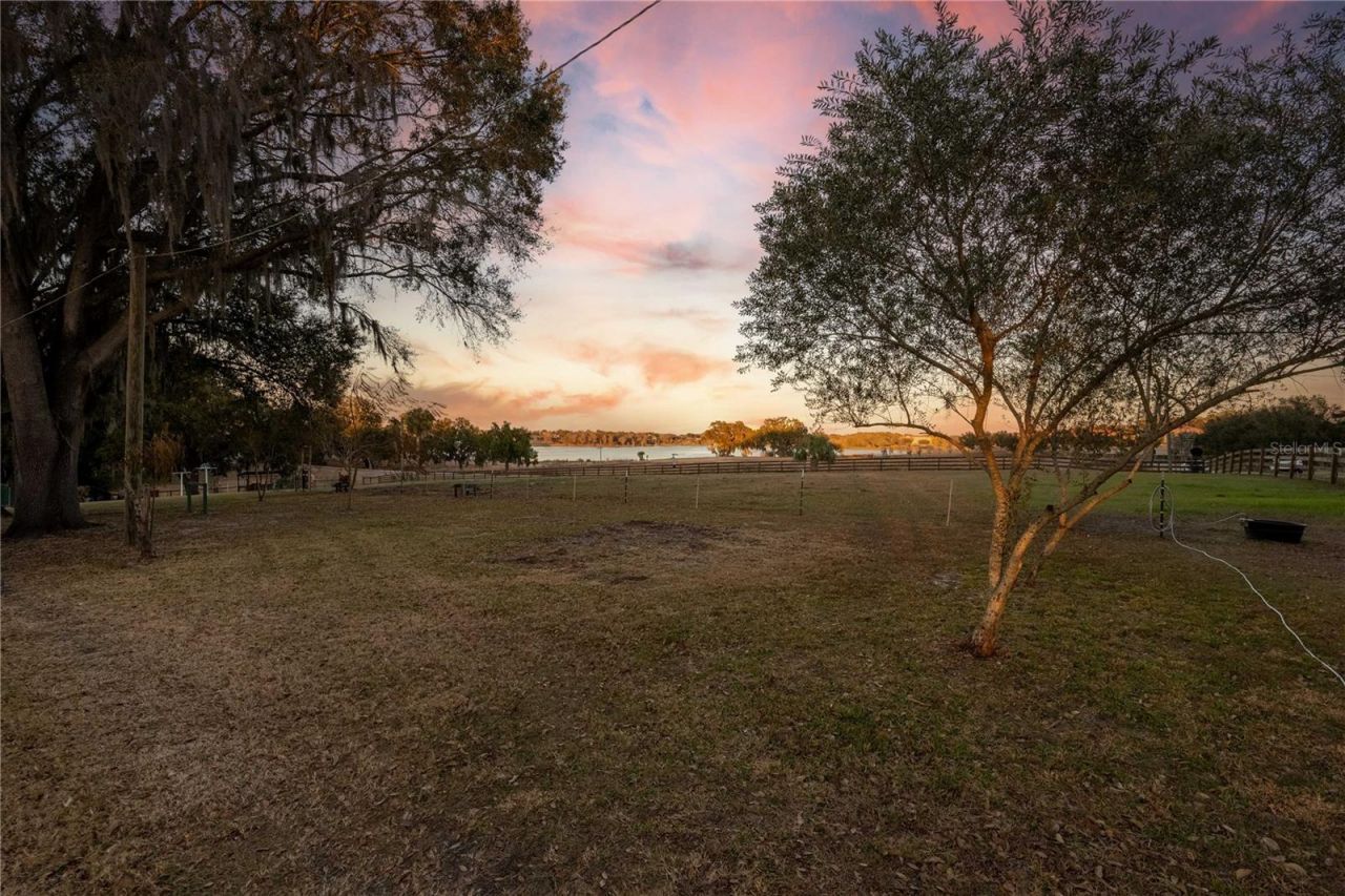 32935 Jesse Jones Avenue, San Antonio, FL 33576 Photo