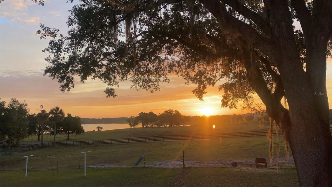 32935 Jesse Jones Avenue, San Antonio, FL 33576 Photo