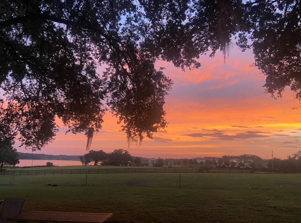 32935 Jesse Jones Avenue, San Antonio, FL 33576 Photo