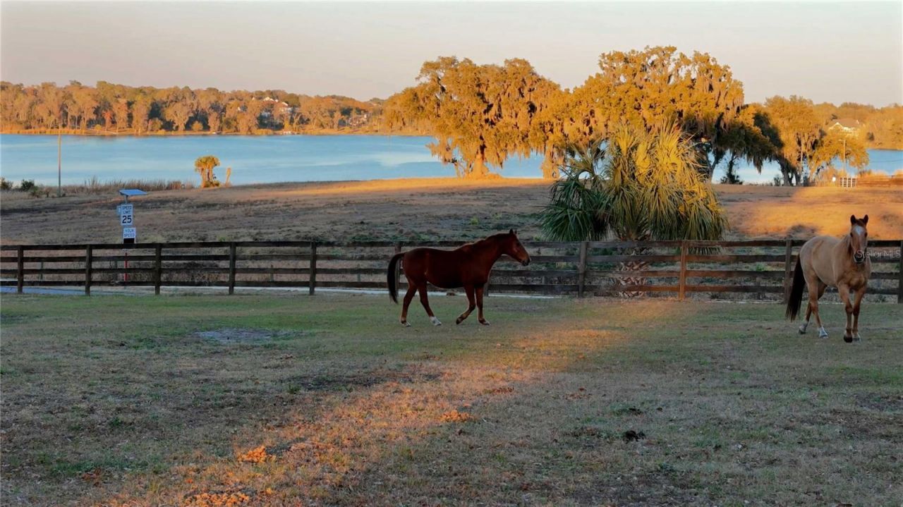 32935 Jesse Jones Avenue, San Antonio, FL 33576 Photo